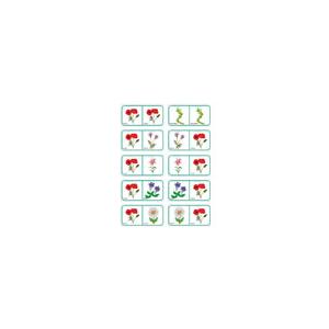 Dominos pour apprendre les fleurs 6