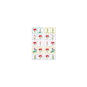 Dominos sur le nom des fleurs -planche 7