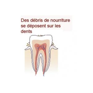 Manger fait augmenter l'acidité de la bouche 