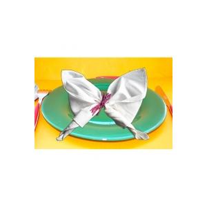 pliage de serviette en papillon