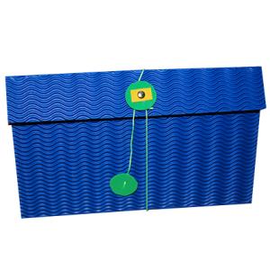 pochette carton