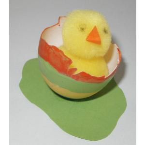 Petit poussin sortant de sa coquille