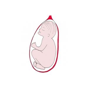 La présentation la face. Bébé se présente bien par la tête, mais la face en avant. Bébé présente la partie la plus large de sa tête. Cette présenta
