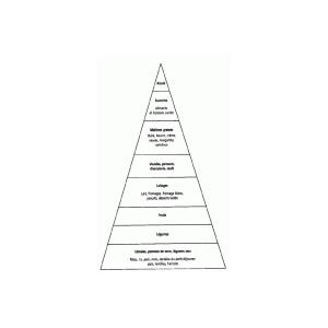 pyramide des besoins alimentaires