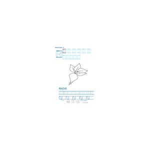 Imprimer la fiche graphisme sur R de RADIS