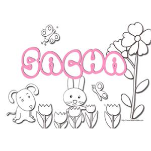 coloriage prénom sacha