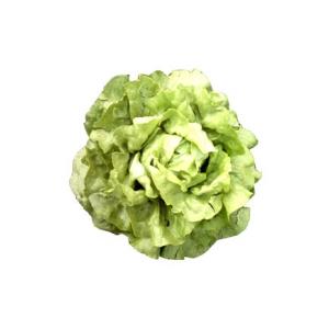 Les salades