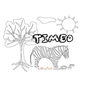 Timeo