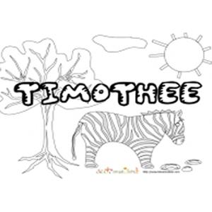 Timothe