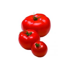 La tomate