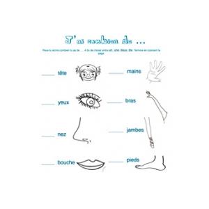 Exercices de vocabulaire sur le corps