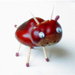 animaux en marrons