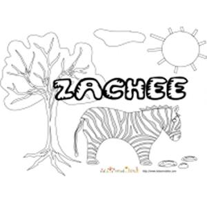 Zachée