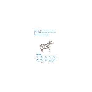 Imprimer la fiche graphisme sur Z de ZEBRE