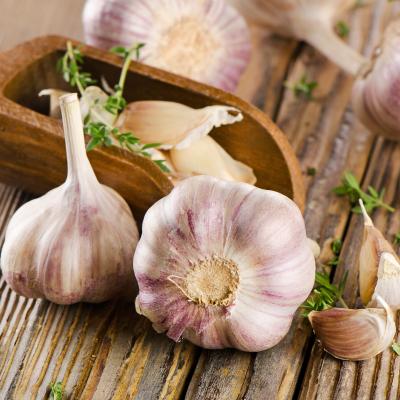 Ail : Mot du glossaire Tête à modeler. L'ail est une plante aromatique à bulbe. Le bulbe de l'ail est utilisé en cuisine comme condiment. Le pluriel d'ail est des aulx. Activités associ&ea