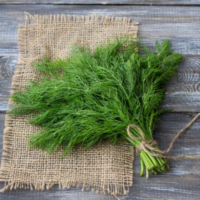 Aneth : Mot du glossaire Tête à modeler. L'aneth est une plante aromatique aussi appelée fenouil. Activités associées.