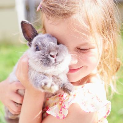 Description de comment apprivoiser un lapin afin qu'il s'habitue à son nouvel environnement et à ses nouveaux propriétaires