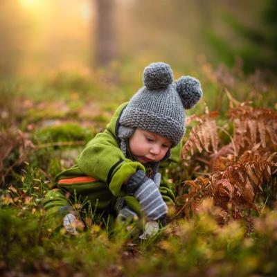 Automne : Mot du glossaire Tête à modeler. Automne définition et activités associées
