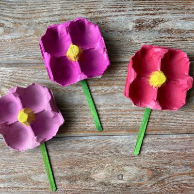 Découvrez comment fabriquer des fleurs en boîte d’œufs facilement avec ce nouveau tuto gratuit.