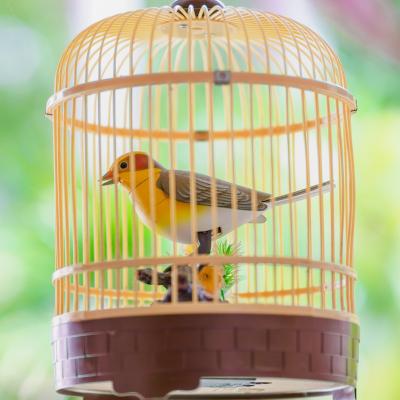 cage - mot du glossaire Tête à modeler. Une cage est un espace clos par des barreaux ou un grillage. Définition et activités associées au mot cage.