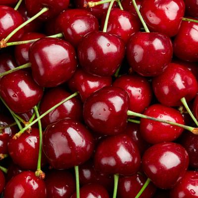 cerise - mot du glossaire Tête à modeler. La cerise est un fruit à noyau. Définition et activités associées au mot cerise.
