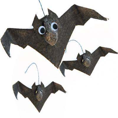 Chauve-souris en boite à oeufs