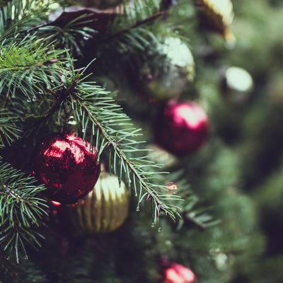Ça y est ! Vous l’avez enfin acheté, votre beau sapin naturel pour Noël ! Maintenant qu’il a sa place dans la maison, voici quelques astuces ...