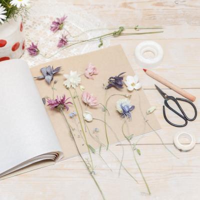 Idée d'activité manuelle pour créer un herbier avec son enfant de 3 à 12 ans. Une manière ludique de partir à la découverte des plantes.