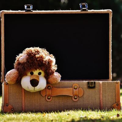 Un jeu de devinette très amusant, "dans ma valise" est un jeu qui fera travailler la mémoire des enfants ! Le but est de prononcer "Dans ma valise il y a..." et de compléter la suite ! Et ainsi de sui