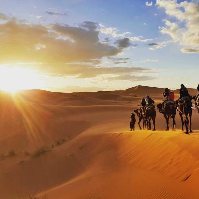 desert - mot du glossaire Tête à modeler. Définition et activités associées au mot desert.