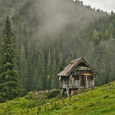 hutte - mot du glossaire Tête à modeler. Définition et activités associées au mot hutte.
