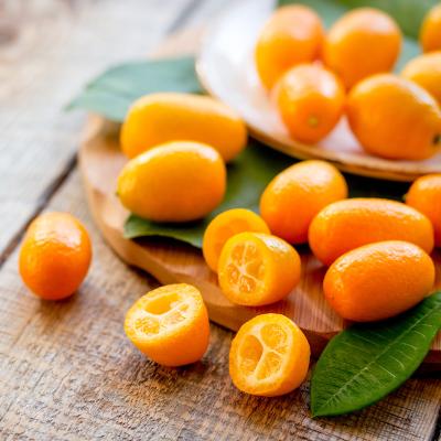 kumquat - mot du glossaire Tête à modeler. Définition et activités associées au mot kumquat.