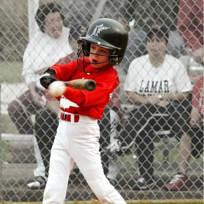 Le jeu de la thèque est une sorte de jeu de baseball pour les enfants. La thèque tire ses origines de la Normandie. On retrouve souvent ce jeu dans les centres aérés ainsi que dans les écoles. Ce jeu 