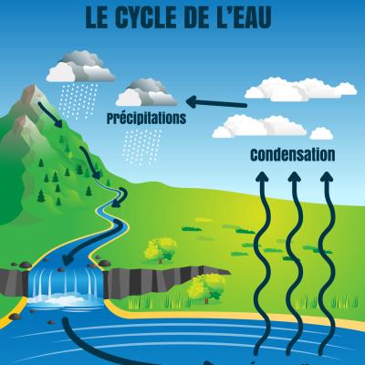 Le cycle naturel de l'eau. L'eau circule sur la terre en suivant un cycle de transformation en 3 grandes étapes : l'évaporation, condensation et les précipitations. Un article pour comprendre comment 