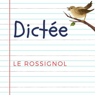 Dictée pour les enfants en CE1. Le rossignol, extrait du conte d' Anderson : Dans le jardin poussaient des fleurs merveilleuses; et afin que personne ne puisse passer...