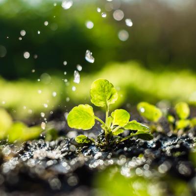 L'eau est indispensable à l'existence, le développement et la vie de l'eau. De sa conception à son industrie, l'homme a besoin de l'eau. Elle est une ressource si vitale qu'elle nous semble banale. L'