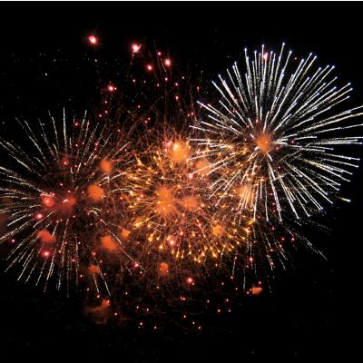 Feu d'artifice 2018 : Chaque année, pour la Fête nationale, a lieu un spectacle pyrotechnique dans toute la France. Pour savoir où aller regarder un beau feu d'artifice près de chez vous, retrouvez no