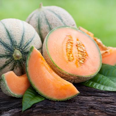Melon