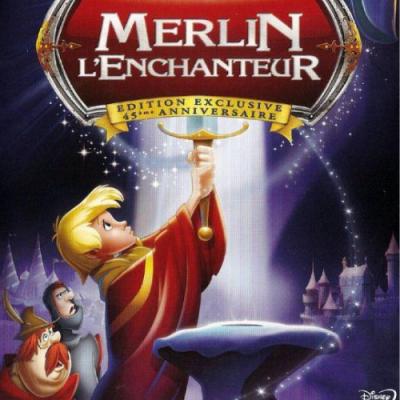 Le jeune Moustique, 12 ans, rencontre un jour l'enchanteur Merlin, qui décide de faire son éducation. Ensemble, ils partent pour Londres, où a lieu un grand tournoi de chevalerie, dont le vainqueur se