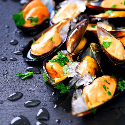 Mollusque