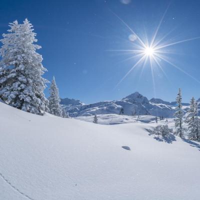 neige - mot du glossaire Tête à modeler. Définition et activités associées au mot neige.