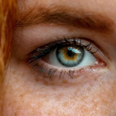 oeil - mot du glossaire Tête à modeler. Définition et activités associées au mot oeil.