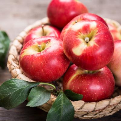 pomme - mot du glossaire Tête à modeler. Définition et activités associées au mot pomme.