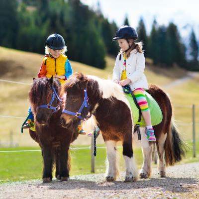 poney - mot du glossaire Tête à modeler. Définition et activités associées au mot poney.