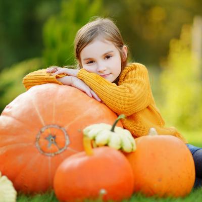 Les curcubitacées sont des délicieux légumes délicat qu'on adore cuisiner en automne. Connaissez-vous la différence entre une citrouille, un potiron et un potimarron ? Taille, couleur, saveur, ne vous