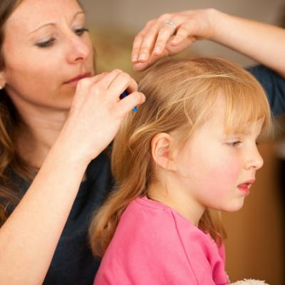 A quoi ressemble un pou ? Comment le reconnaitre ? Ce petit insecte est deteste de tous les parents et a chaque rentree, a chaque fois que l'enfant se gratte les cheveux, tous les parents n'ont qu'une