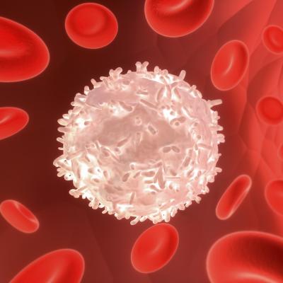 Le système immunitaire est la réaction de l'organisme à une contamination par un micro-organisme. Le système immunitaire se met en action pour : Repérer l'intrus ...