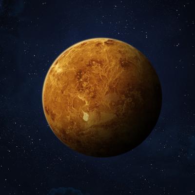 Venus - mot du glossaire Tête à modeler. Définition et activités associées au mot Venus.