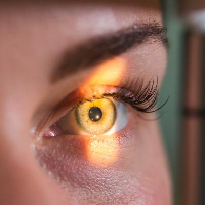 vue - mot du glossaire Tête à modeler. Définition et activités associées au mot vue.