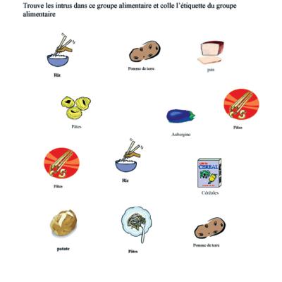 Activité pour identifier les céréales